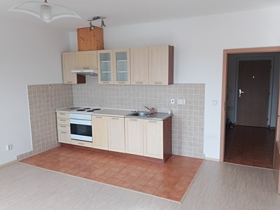 Pronájem bytu 1+kk 34 m² (Jednopodlažní)
