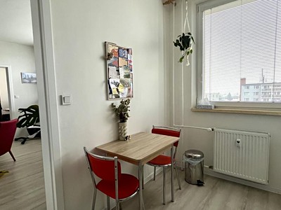 Pronájem bytu 2+1 46 m²