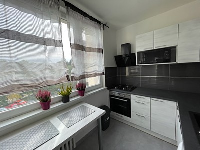 Pronájem bytu 1+1 33 m² (Jednopodlažní)