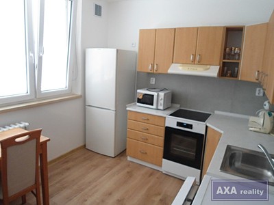 Pronájem bytu 1+1 33 m²