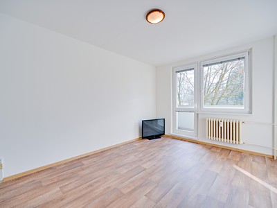 Pronájem bytu 1+1 35 m²