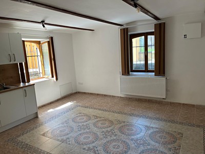 Pronájem bytu 1+kk 29 m² (Jednopodlažní)