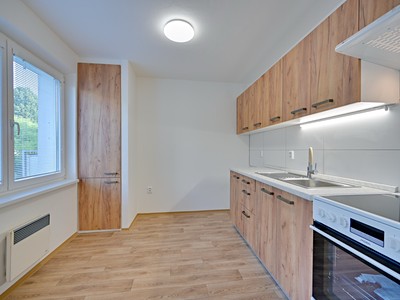 Pronájem bytu 1+1 34 m² (Jednopodlažní)