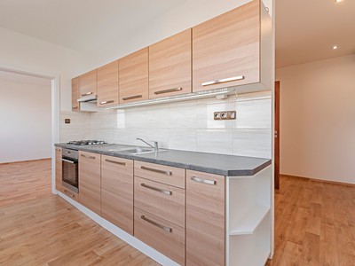 Pronájem bytu 3+1 74 m²