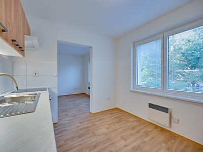 Pronájem bytu 1+1 34 m² (Jednopodlažní)