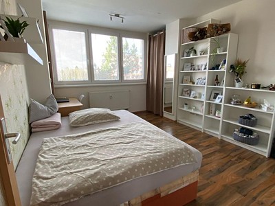 Pronájem bytu 1+kk 30 m²