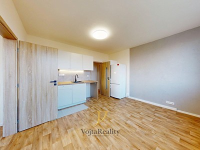 Pronájem bytu 3+kk 45 m²