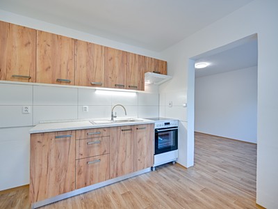 Pronájem bytu 1+1 34 m² (Jednopodlažní)
