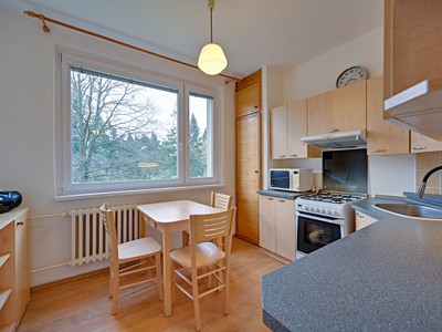 Pronájem bytu 1+1 35 m²