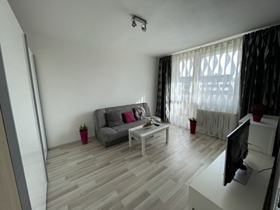 Pronájem bytu 1+1 33 m² (Jednopodlažní)