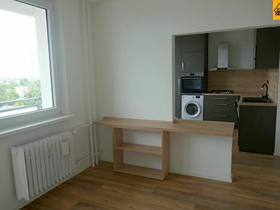 Pronájem bytu 1+1 37 m²