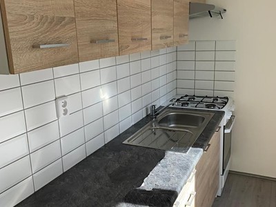 Pronájem bytu 1+1 40 m²