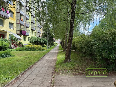 Pronájem bytu 3+1 72 m²