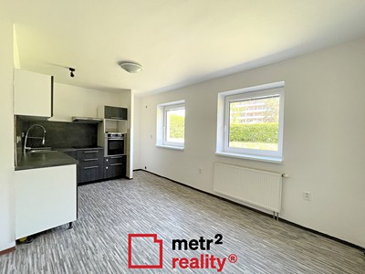 Pronájem bytu 1+1 40 m²