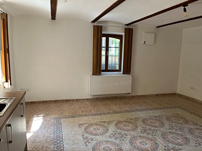 Pronájem bytu 1+kk 29 m² (Jednopodlažní)
