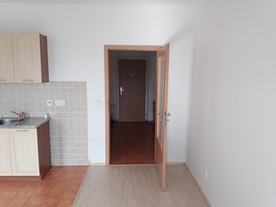 Pronájem bytu 1+kk 34 m² (Jednopodlažní)