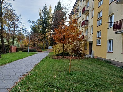 Prodej bytu 3+1 73 m² (Jednopodlažní)
