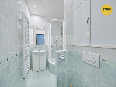 Pronájem bytu 2+1 57 m²