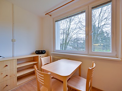 Pronájem bytu 1+1 35 m²